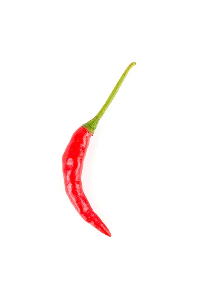 Röd paprika — Stockfoto