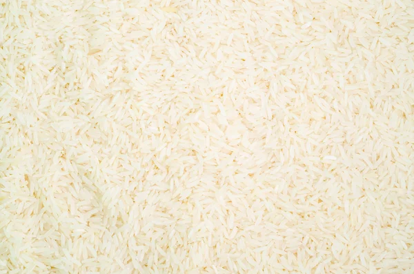 Рис — стокове фото