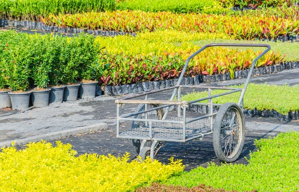 Jardín —  Fotos de Stock