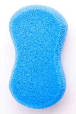 Sünger