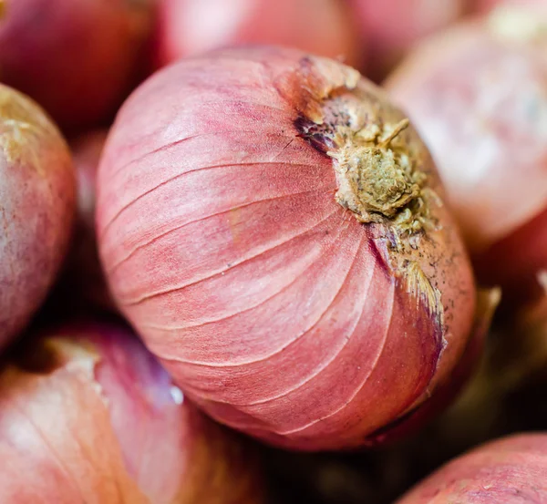 Shallots — Stock Photo, Image