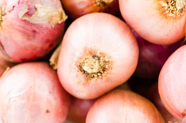 Shallots — Stock Photo, Image