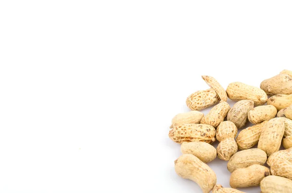 Peanut — Stock Photo, Image