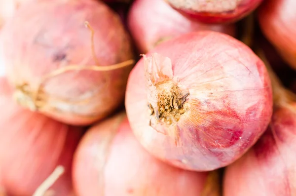 Shallots — Stock Photo, Image