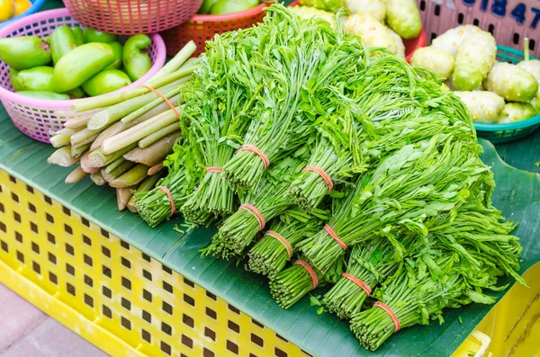 Acacia pennata in local street market — Stock Photo, Image