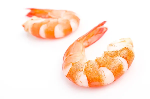 Shrimp — Stock Photo, Image