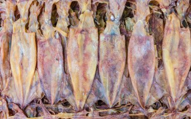 Kuru Mürekkep balığı