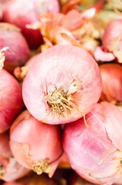 Shallots — Stock Photo, Image