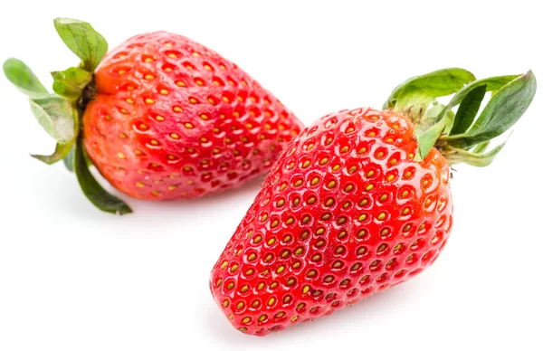 Strawberry — Stock Photo, Image