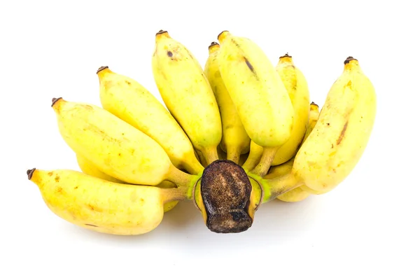 Bunch of bananas — Stock Photo, Image