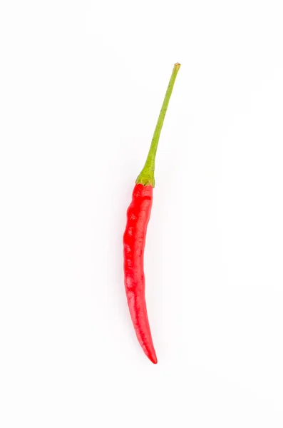 Pimienta roja — Foto de Stock