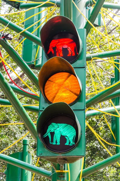 Ampelschaltung — Stockfoto