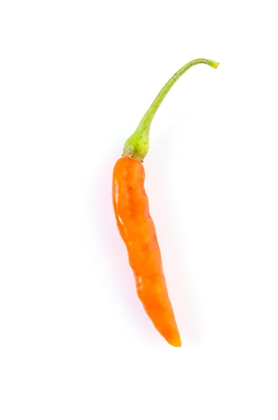 Chili paprika — Stock Fotó