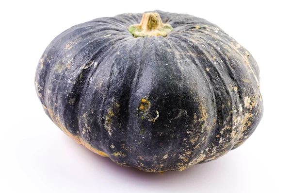 Calabaza — Foto de Stock