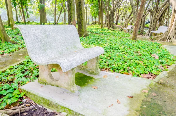 Bank in het park — Stockfoto