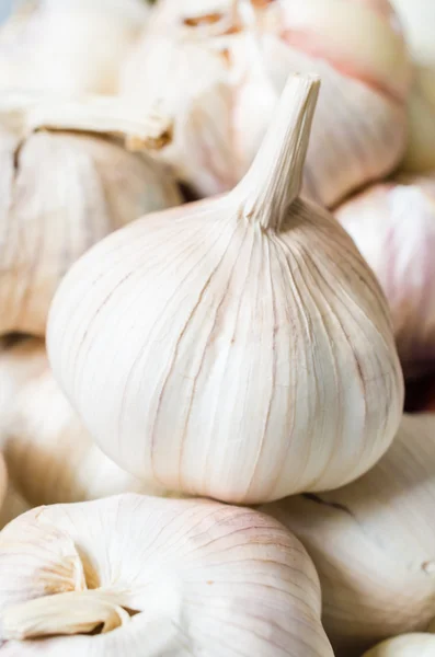 Garlic — Stock Photo, Image