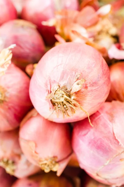 Shallots — Stock Photo, Image