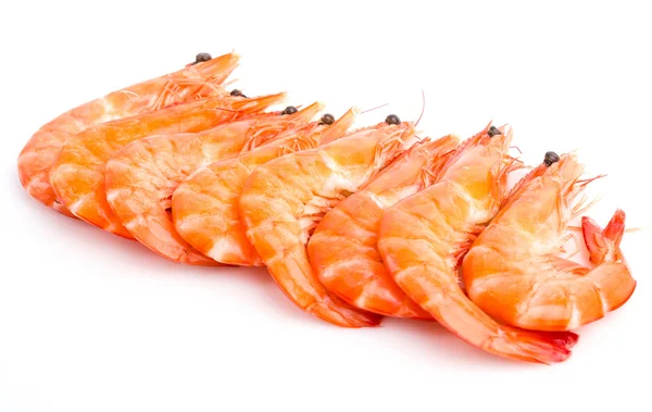 Shrimp — Stock Photo, Image