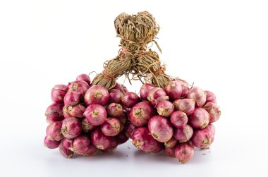 izole soğancık beyaz arka plan