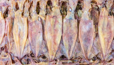 Kuru Mürekkep balığı