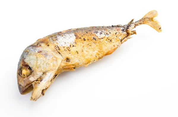 Gebratene Makrele isoliert weißen Hintergrund — Stockfoto