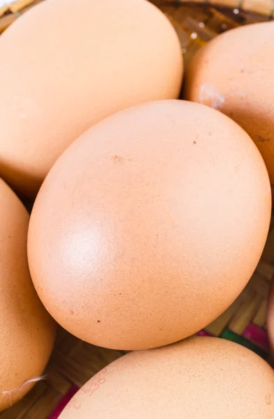 Eggs close up — Stock Photo, Image