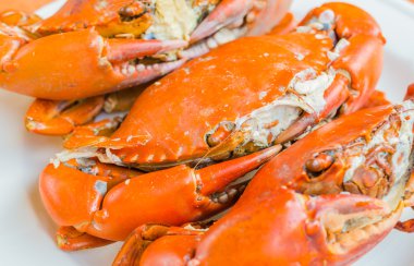 Beyaz tabakta ızgara Yengeç