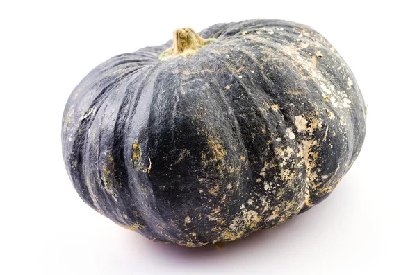 Calabaza — Foto de Stock