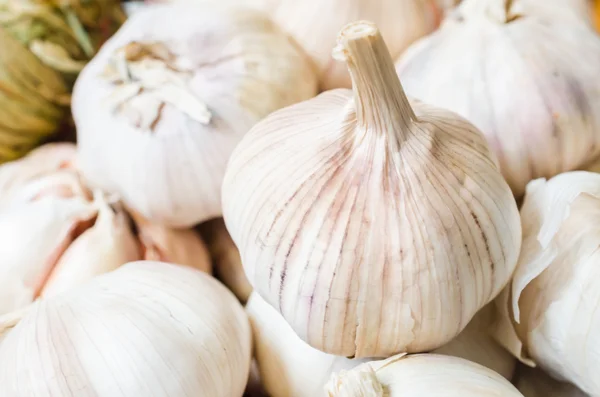 Garlic — Stock Photo, Image