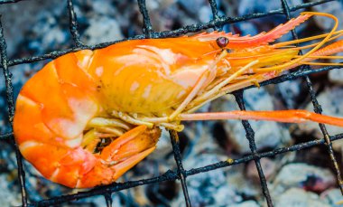 Barbekü ızgara karides