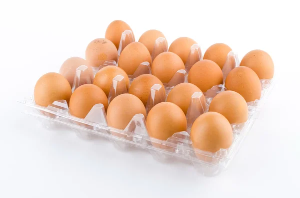 Eggs packed isolated white background — Stock Photo, Image