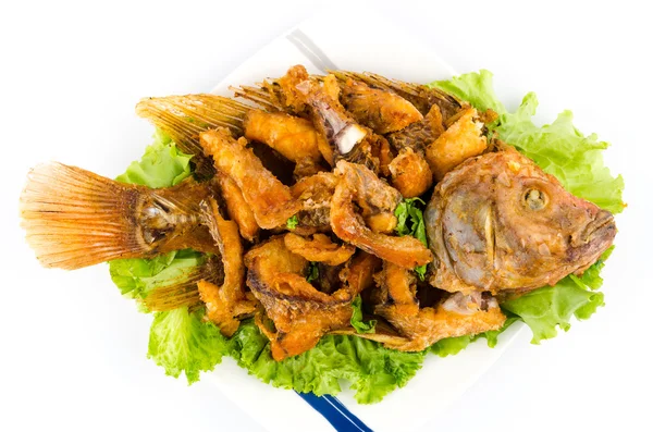 Thai food fried fish in white plate isolated on white background — Stock Photo, Image