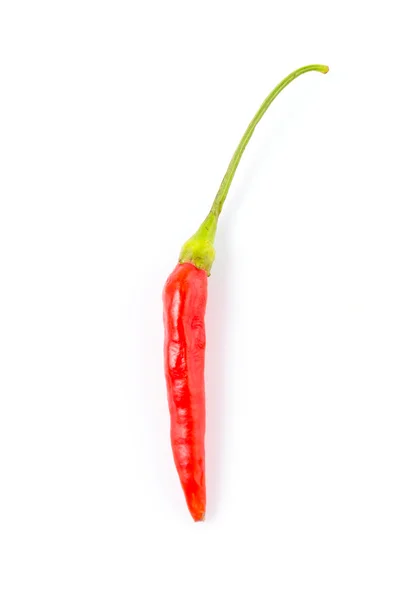 Pepper chilli — Stock Photo, Image