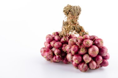 izole soğancık beyaz arka plan