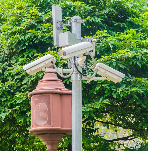 CCTV camera — Stockfoto