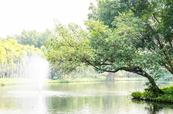 噴水公園 — ストック写真