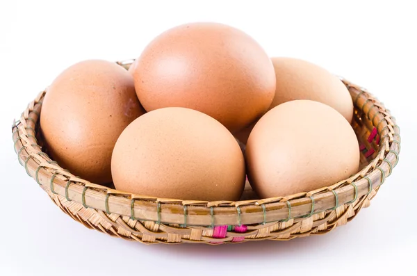 Egg on isolated white background — Stock Photo, Image