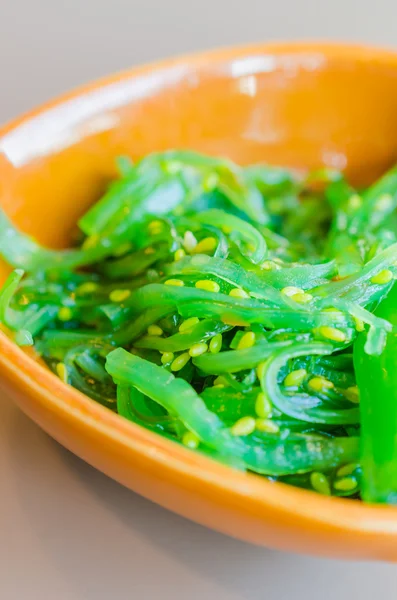 Seaweed salad japan food — Stock Photo, Image