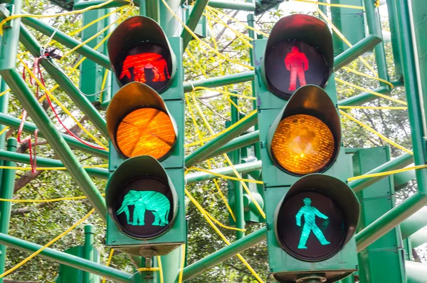 Ampelschaltung — Stockfoto