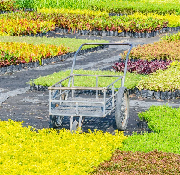 Garten — Stockfoto