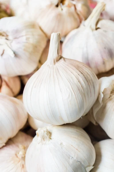 Garlic — Stock Photo, Image