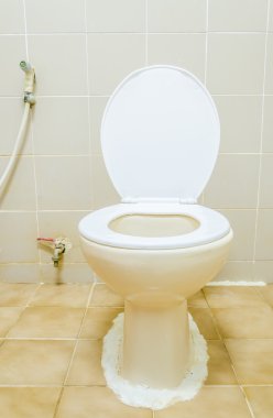 Klozet kapağı