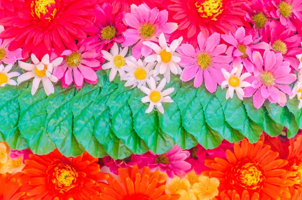 Flowers background — Stock Photo, Image