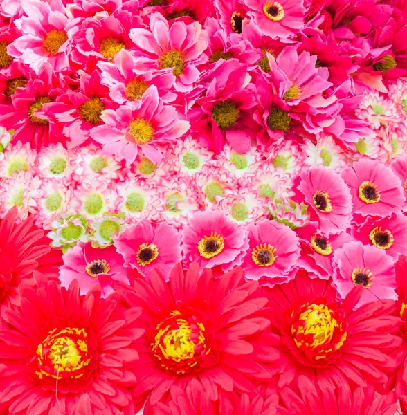 Flowers background — Stock Photo, Image