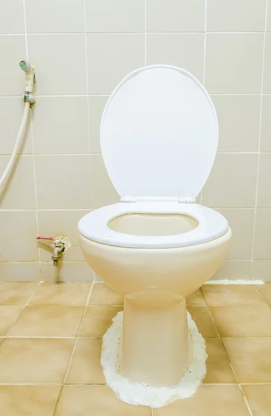 Toilet seat — Stock Photo, Image