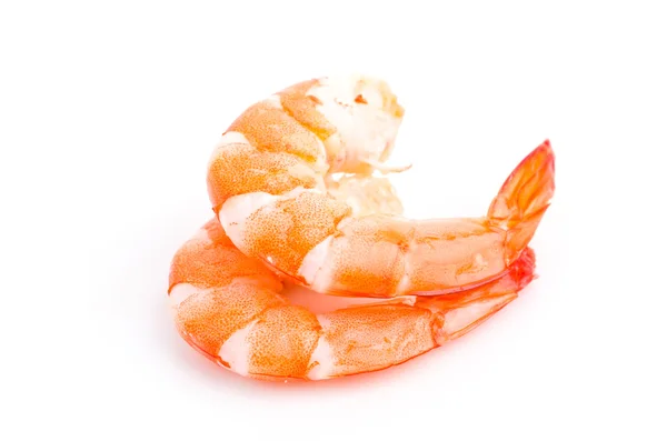 Shrimp — Stock Photo, Image