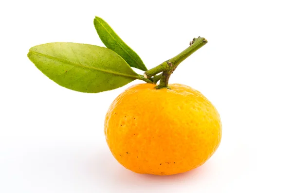 Orange — Stock Photo, Image