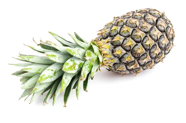 Ananas — Stockfoto