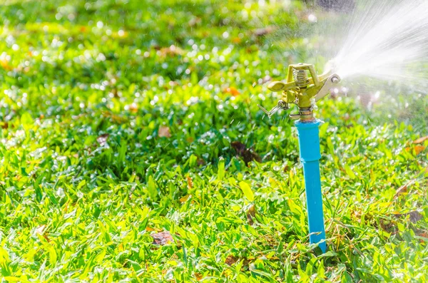 Sprinkler head watering — Stock Photo, Image