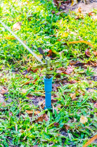 Sprinkler head watering — Stock Photo, Image